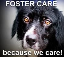 we Care