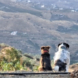 Enjoying the Campo Views with Brother Freddie
